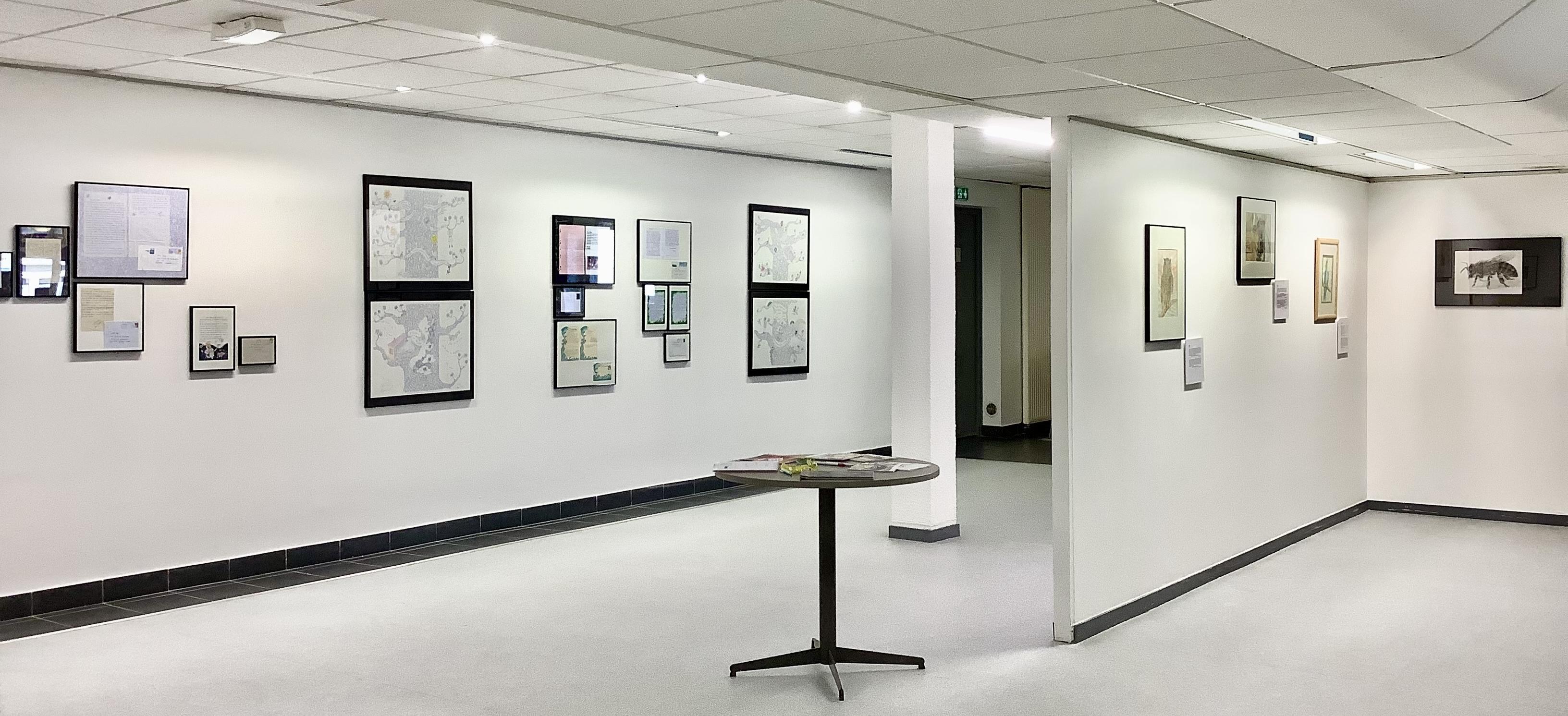 Galerie Domus
